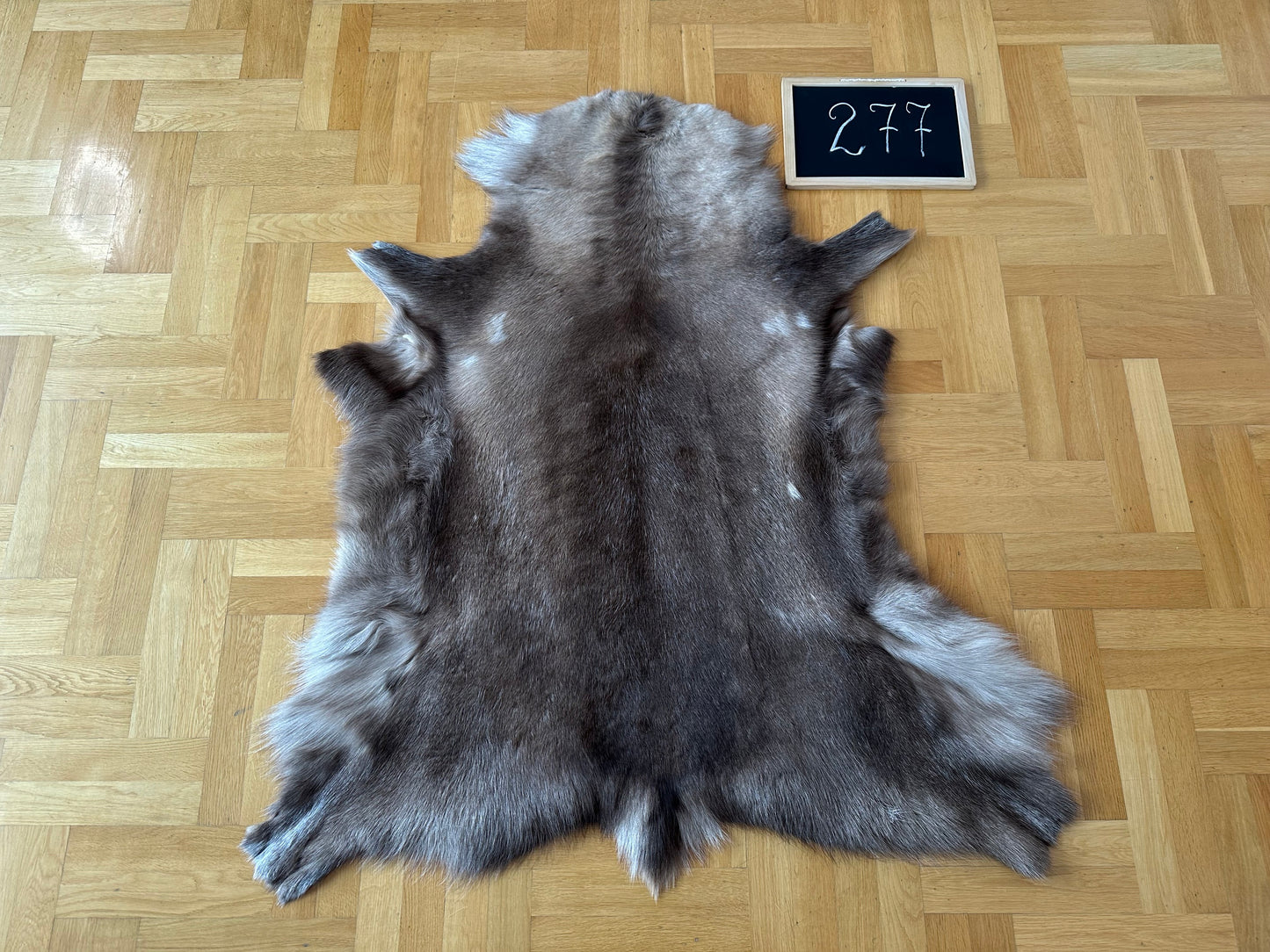 Luxurious Reindeer Hide Unique Giant Size 134 x 117 cm Reindeer Skin #277