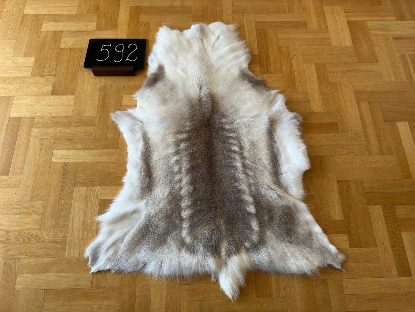 Reindeer Hide Exclusive Unique Giant Size 140 x 107 cm Reindeer Skin #592