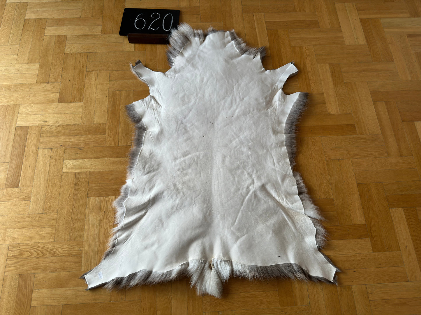 Reindeer Hide Exclusive Unique Giant Size 132 x 102 cm Reindeer Skin #620