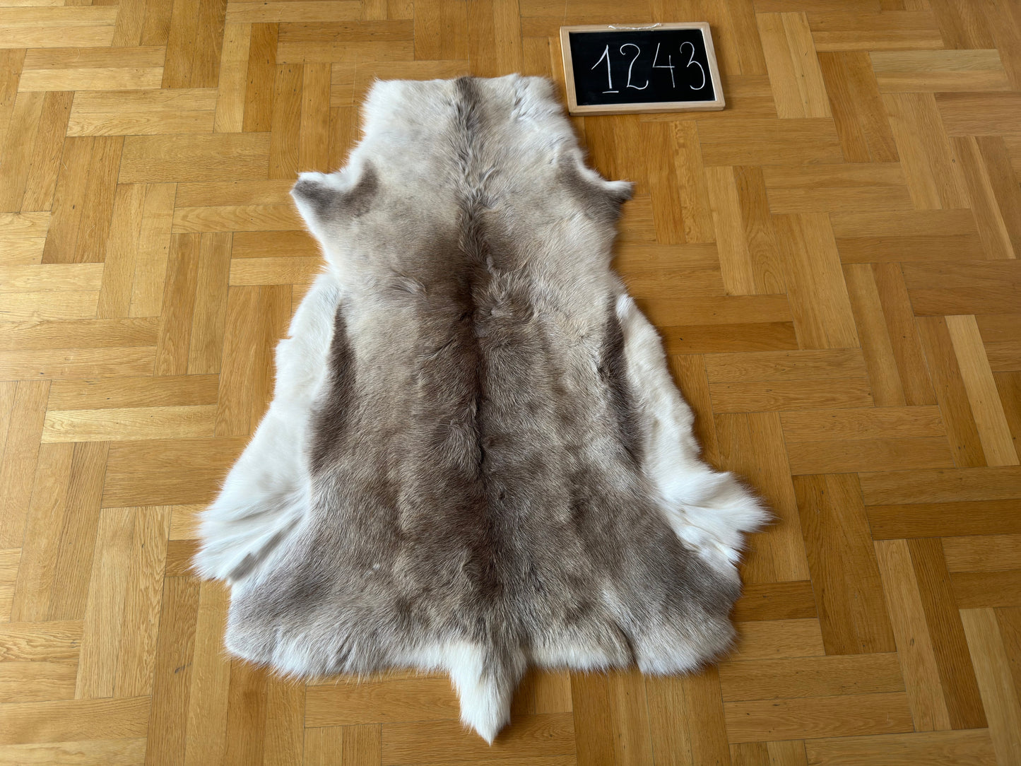 Reindeer Hide B Grade 129 x 85cm Authentic Nordic Decor Reindeer Skin #1243