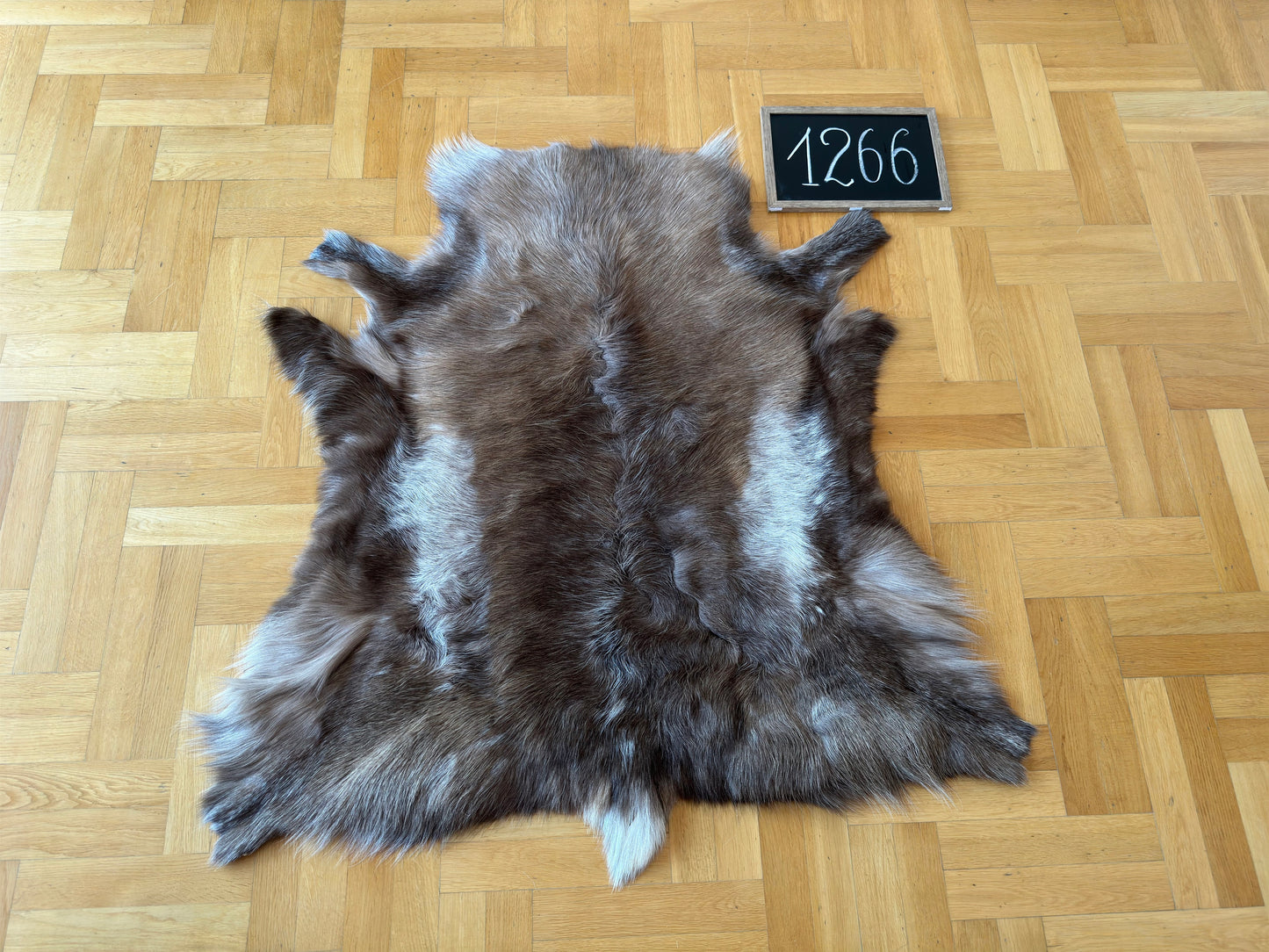 Reindeer Hide B Grade 118 x 114 cm Authentic Nordic Decor Reindeer Skin #1266