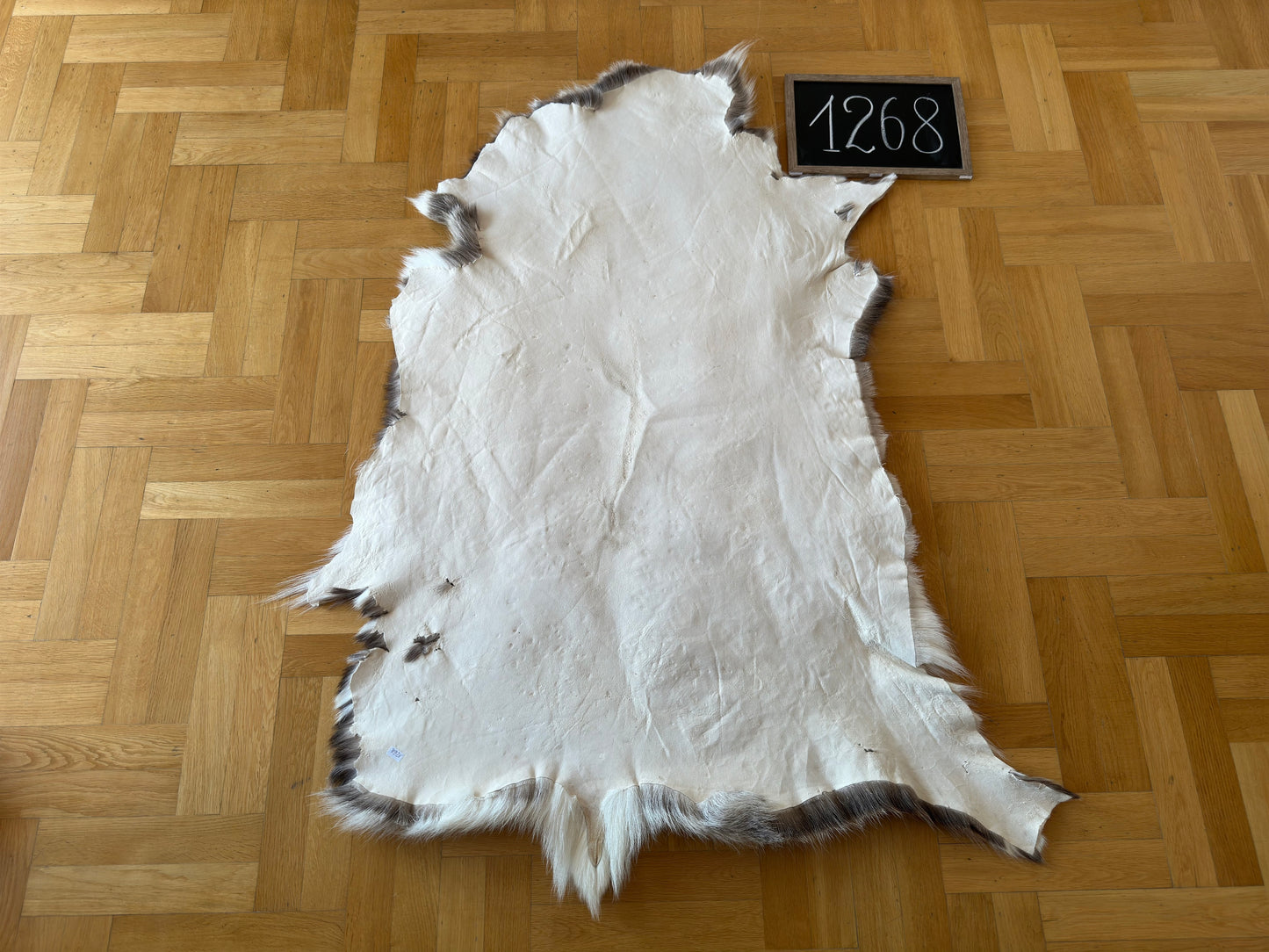 Rare Luxurious Reindeer Hide Unique B Grade 134 x 100 cm Reindeer Skin #1268