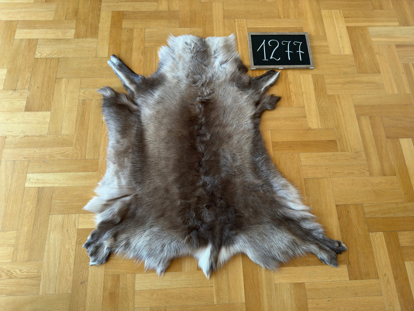 Luxurious Reindeer Hide Unique B Grade 116 x 100 cm Reindeer Skin #1277