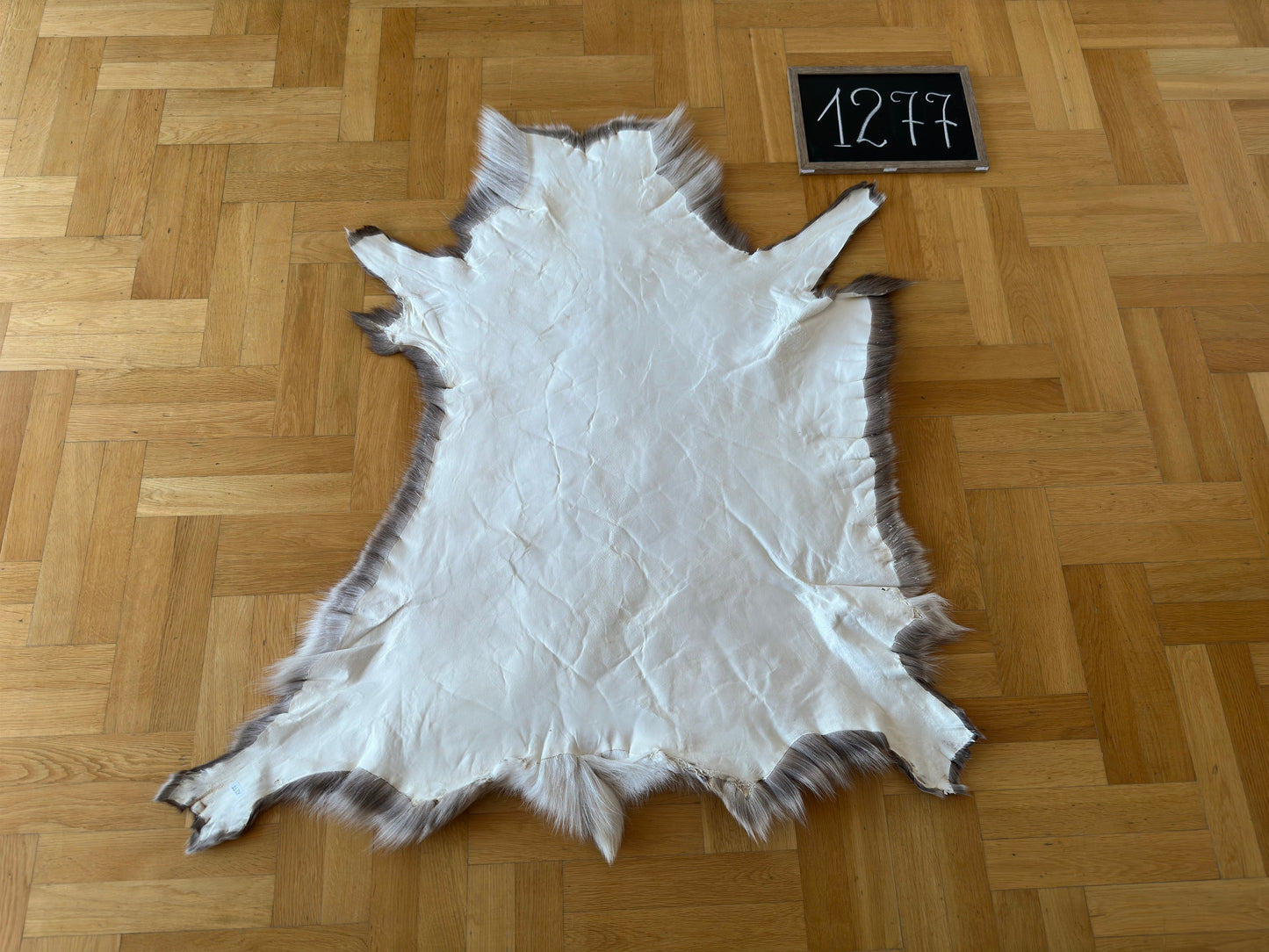 Luxurious Reindeer Hide Unique B Grade 116 x 100 cm Reindeer Skin #1277