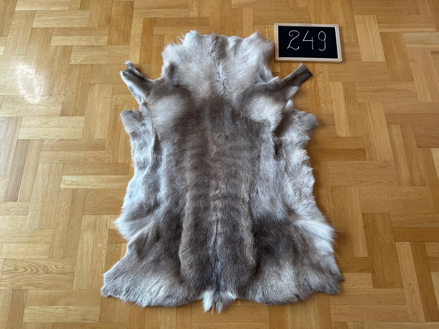 Luxurious Reindeer Hide Unique Giant Size 125 x 97 cm Reindeer Skin #249