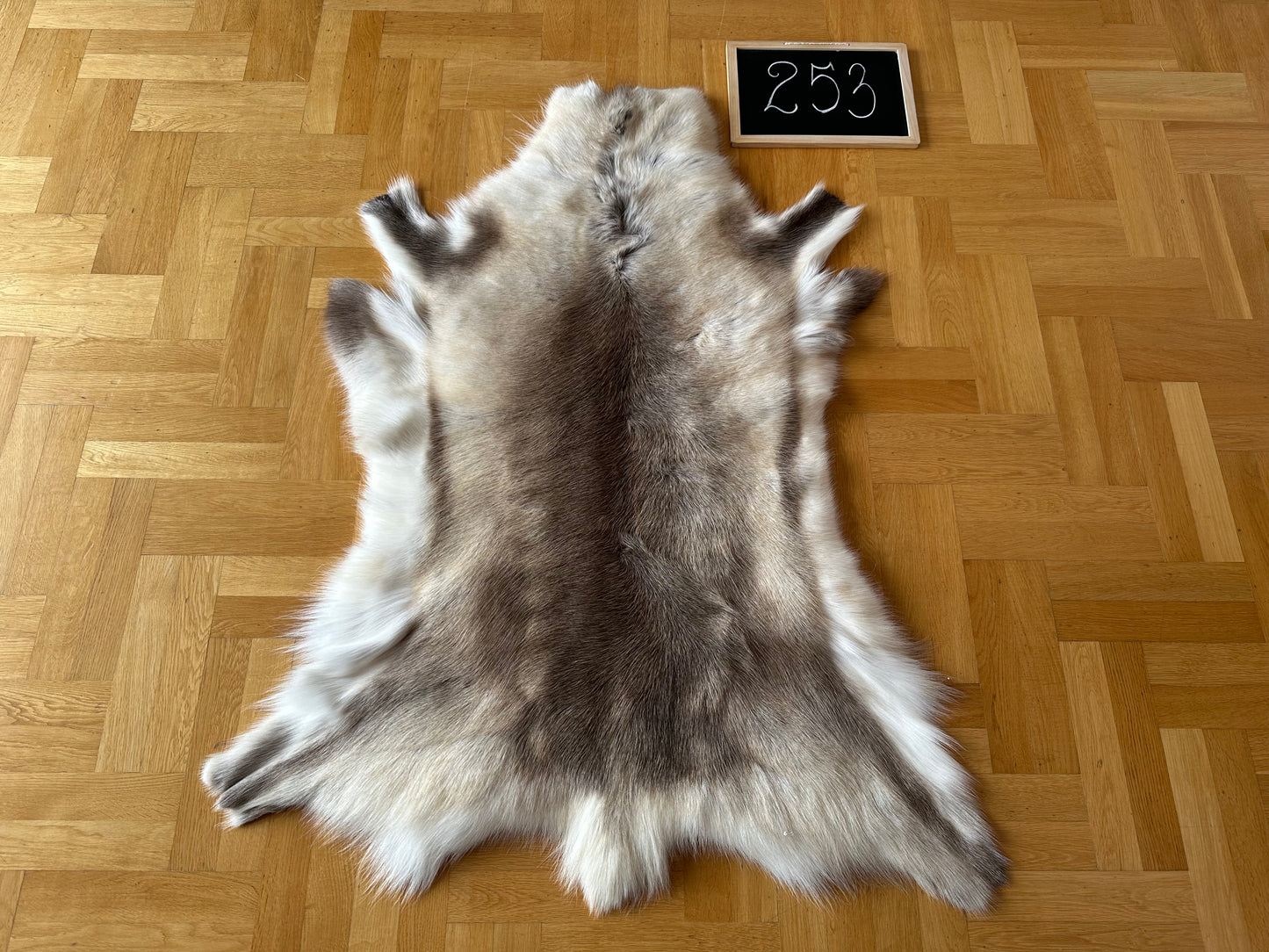 Luxurious Reindeer Hide Unique Giant Size 129 x 105 cm Reindeer Skin #253