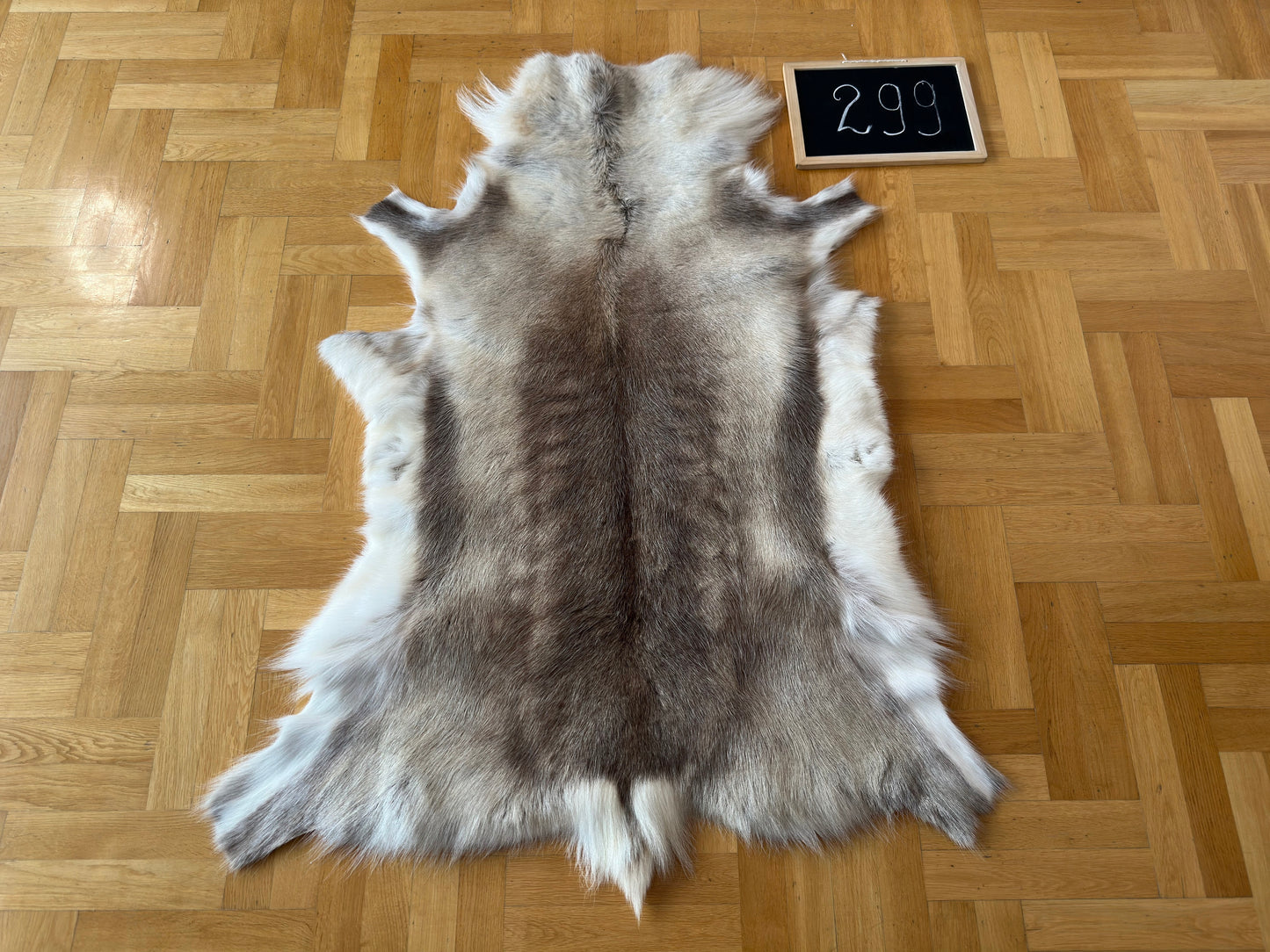 Reindeer Hide Exclusive Unique Giant Size 140 x 104 cm Reindeer Skin #299