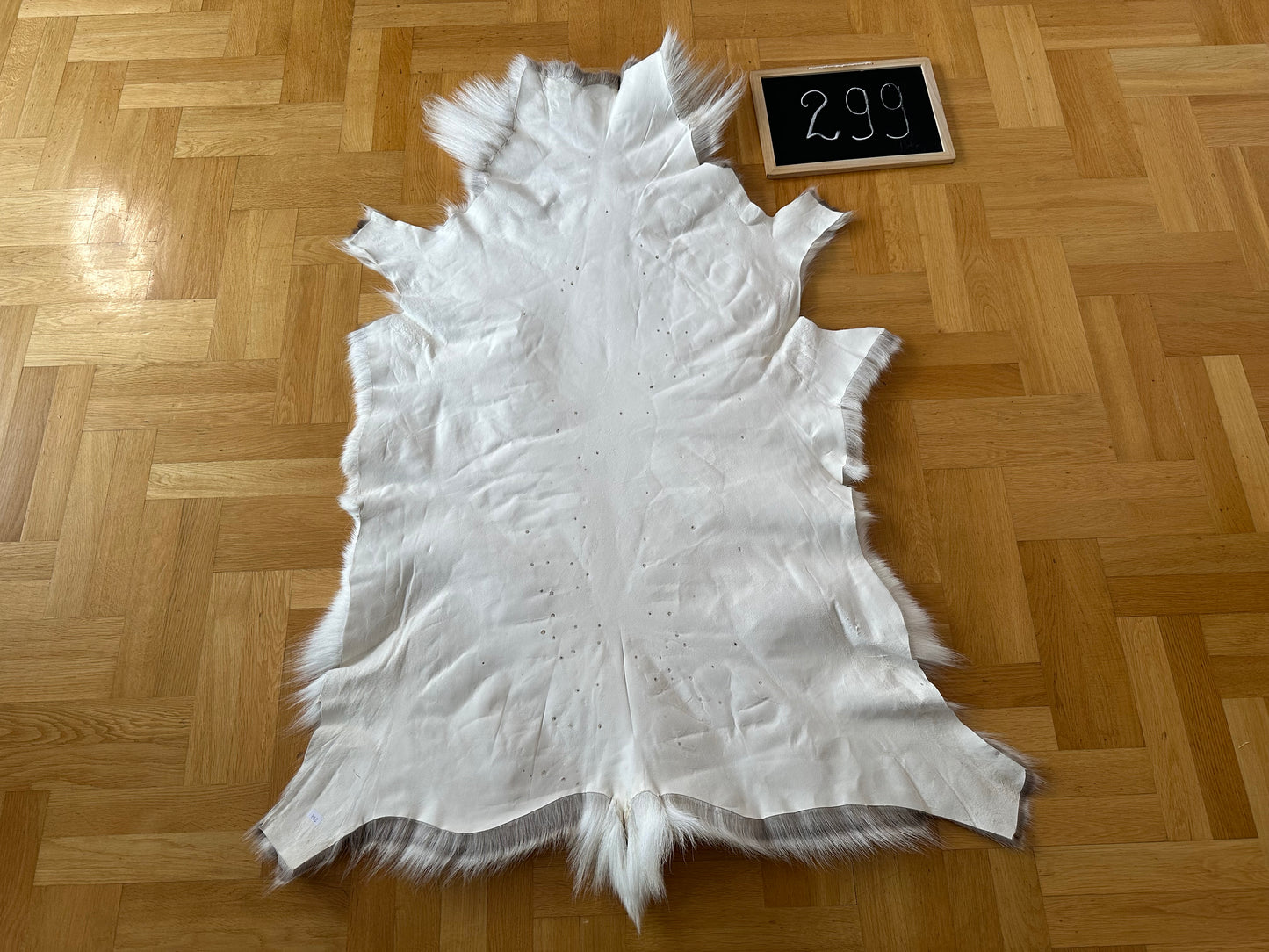 Reindeer Hide Exclusive Unique Giant Size 140 x 104 cm Reindeer Skin #299