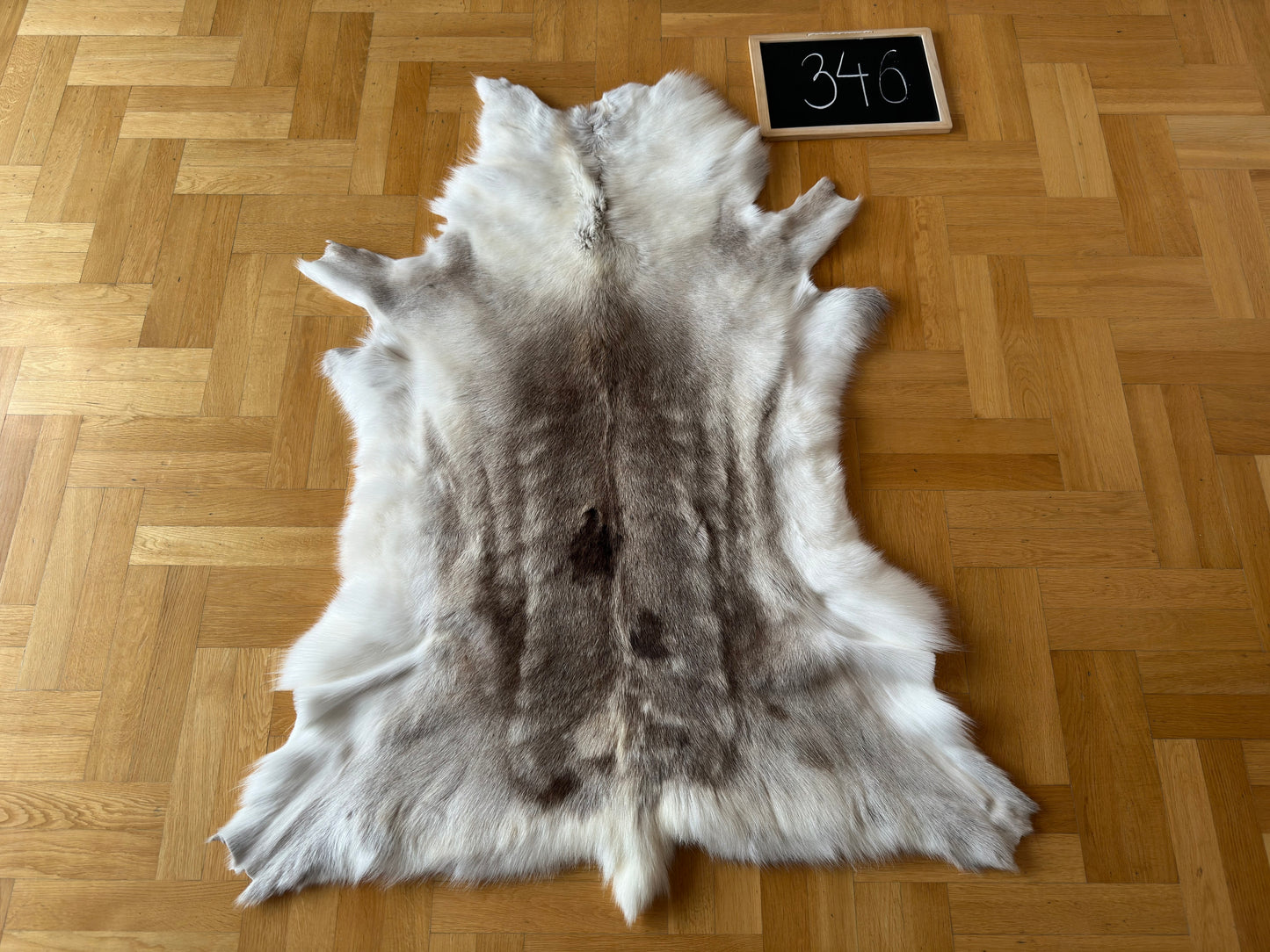 Luxurious Reindeer Hide Unique Giant Size 135 x 106 cm Reindeer Skin #346