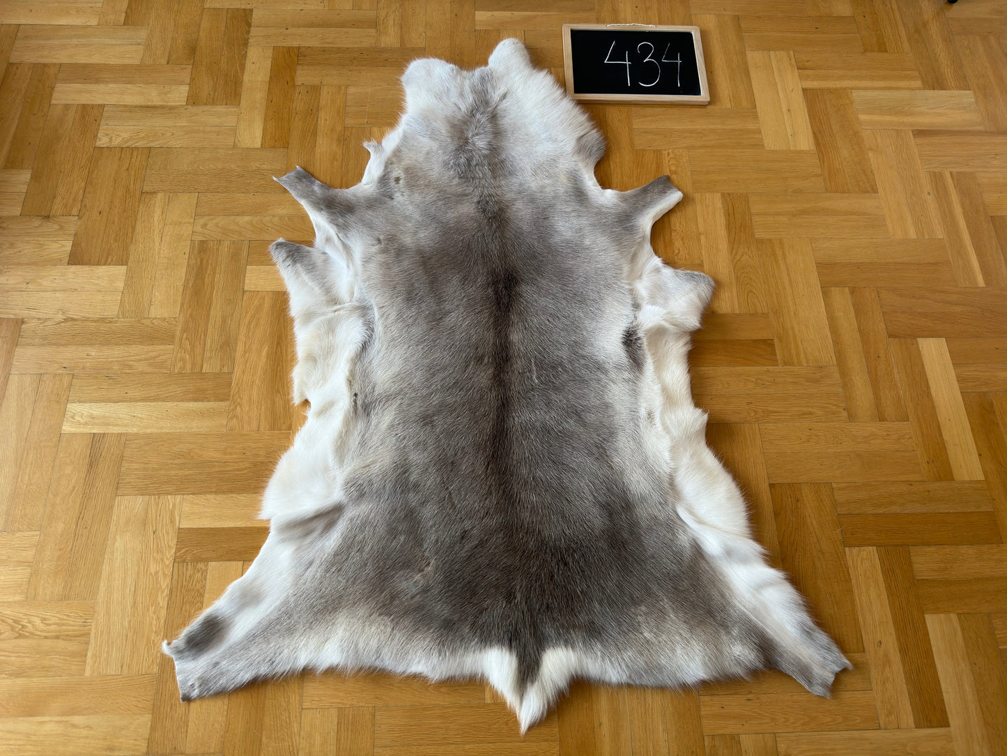 Rare Reindeer Hide Giant 133 x 114 cm Authentic Nordic Decor Reindeer Skin #434