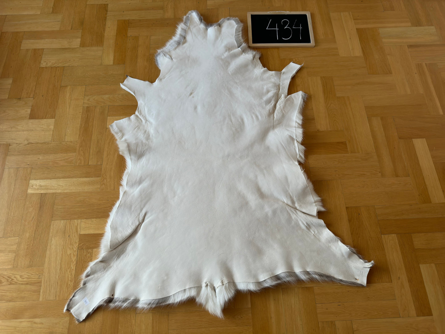 Rare Reindeer Hide Giant 133 x 114 cm Authentic Nordic Decor Reindeer Skin #434