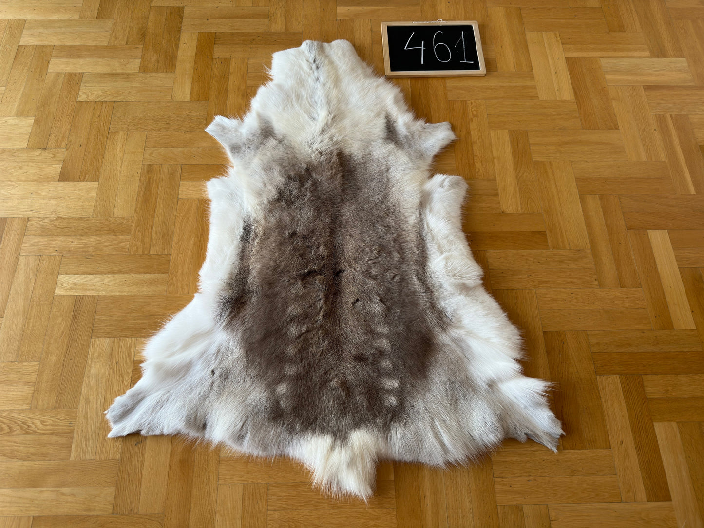 Reindeer Hide Exclusive Unique Giant Size 141 x 112 cm Reindeer Skin #461