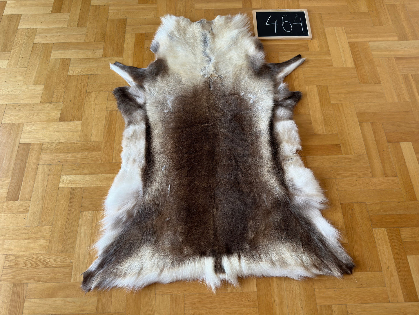 Rare Reindeer Hide Giant 150 x 114 cm Authentic Nordic Decor Reindeer Skin #464