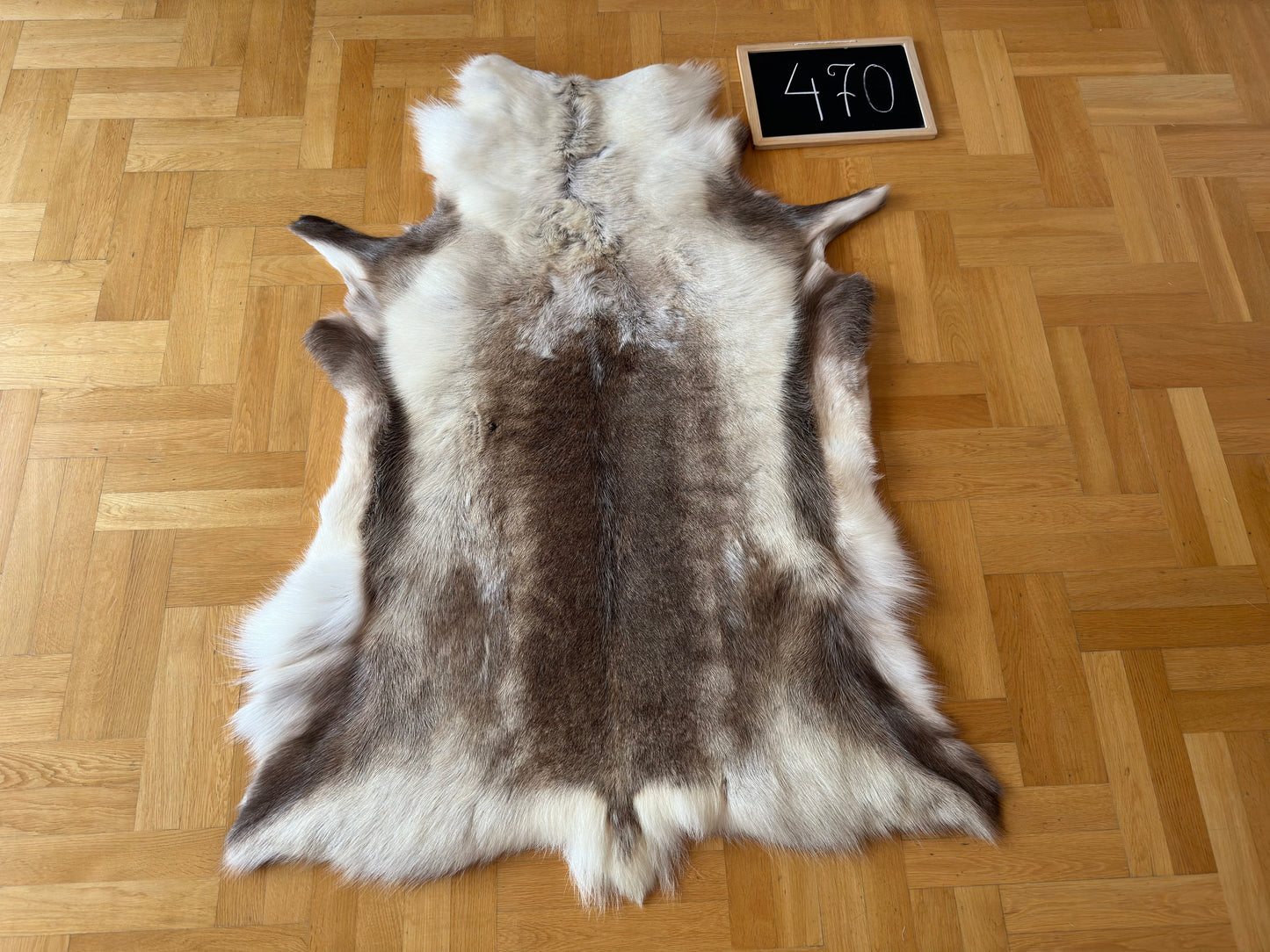 Reindeer Hide Exclusive Unique Giant Size 139 x 103 cm Reindeer Skin #470