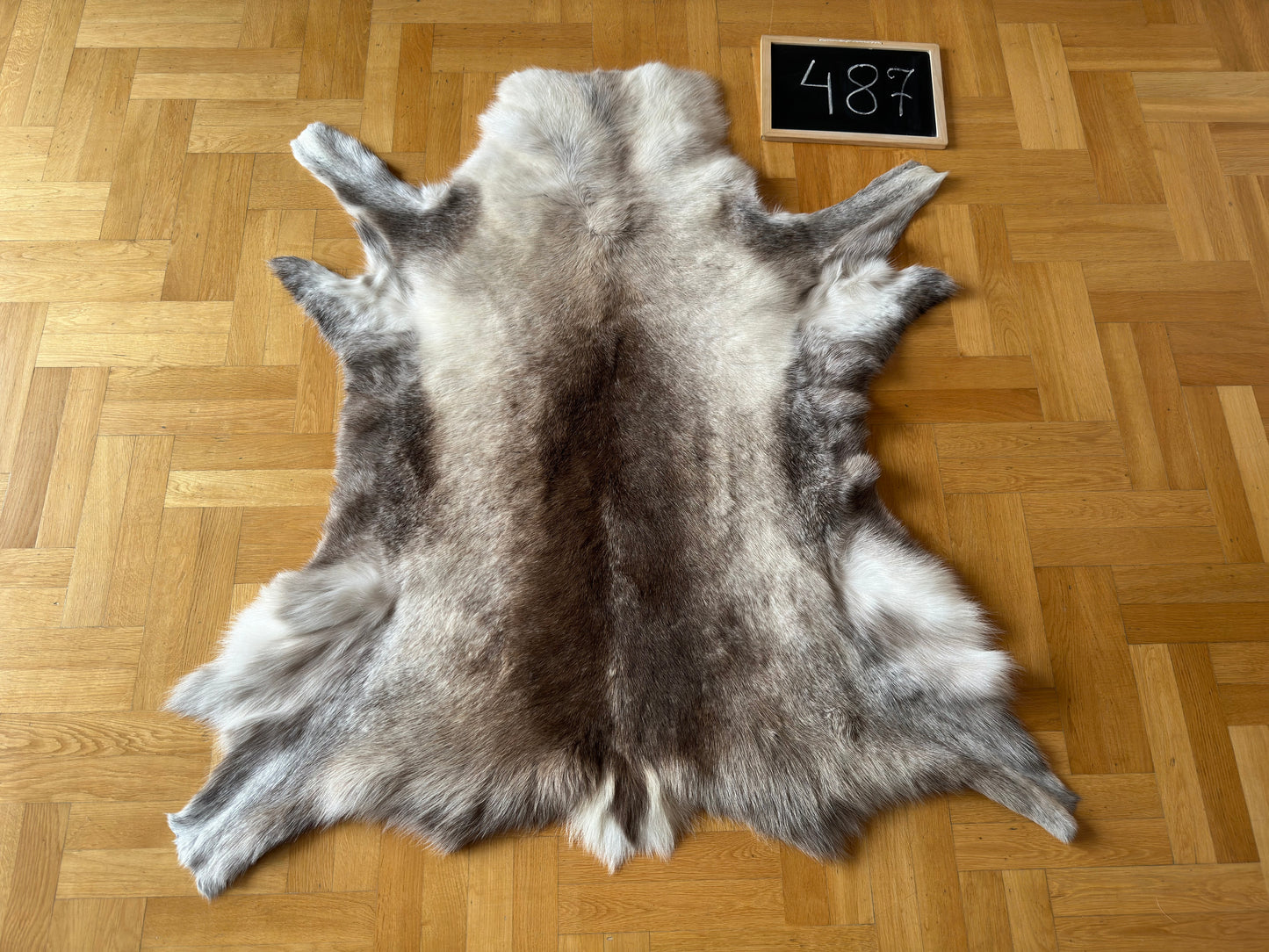 Rare Reindeer Hide Giant 133 x 124 cm Authentic Nordic Decor Reindeer Skin #487