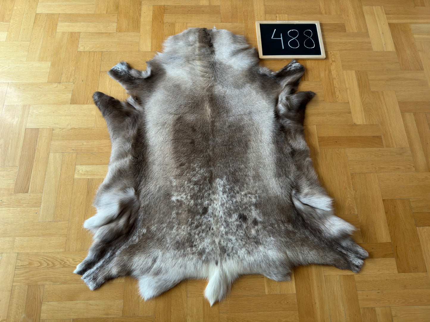 Reindeer Hide Exclusive Unique Giant Size 126 x 118 cm Reindeer Skin #488