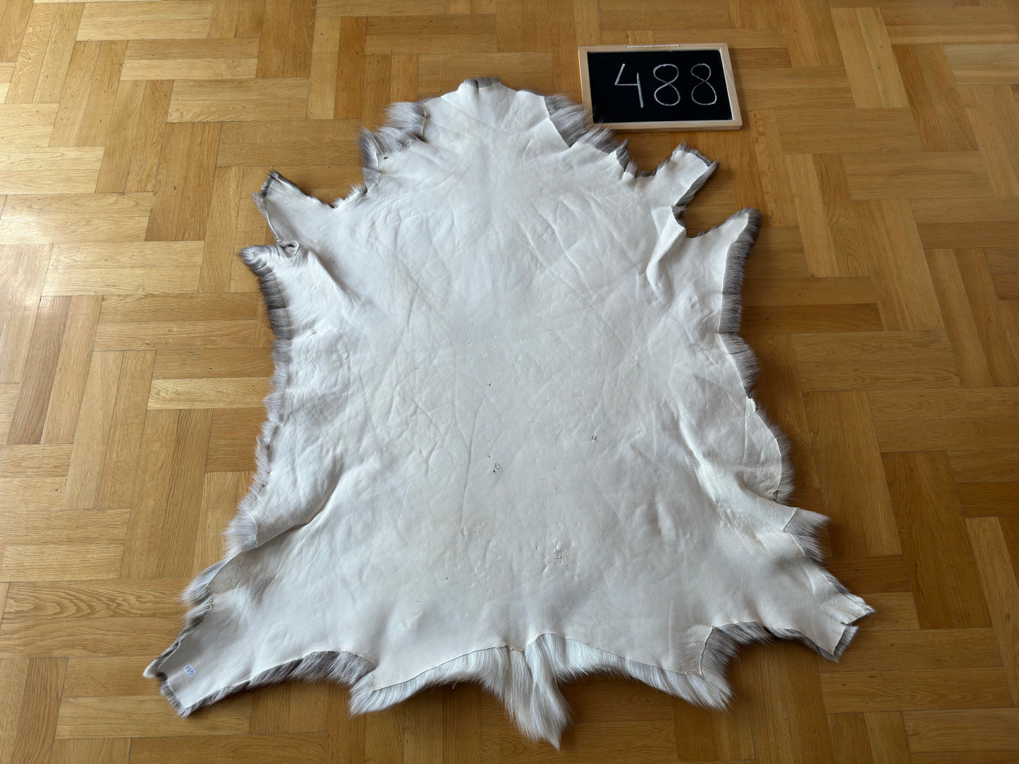 Reindeer Hide Exclusive Unique Giant Size 126 x 118 cm Reindeer Skin #488