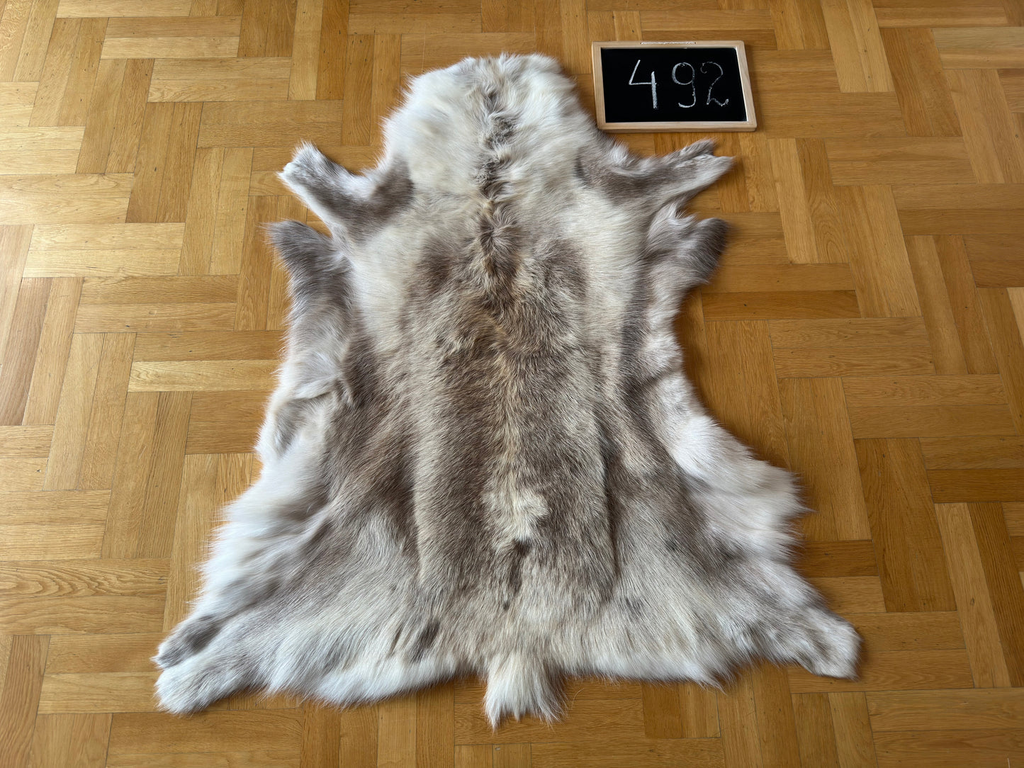 Reindeer Hide Exclusive Unique Giant Size 130 x 115 cm Reindeer Skin #492