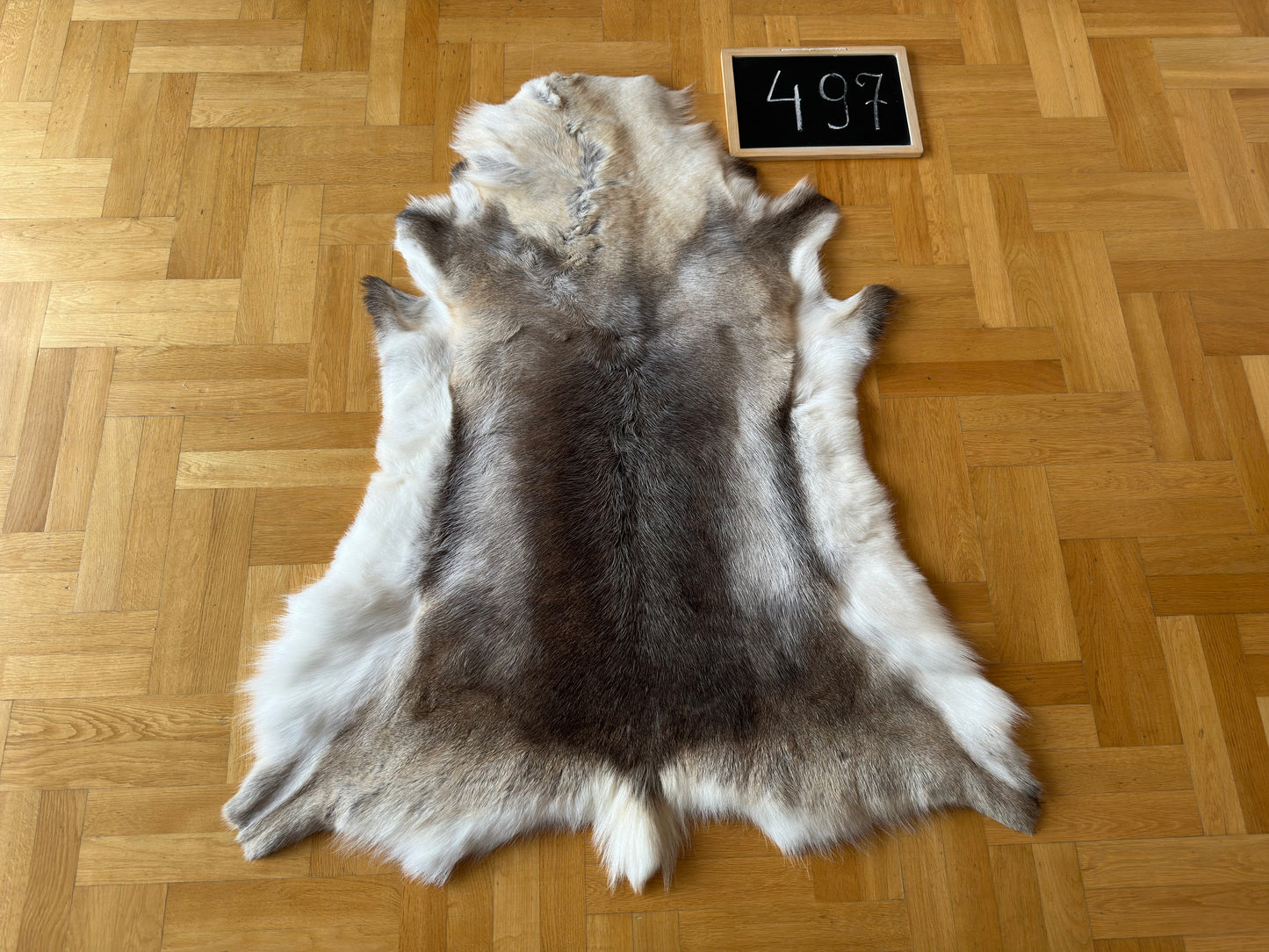 Luxurious Reindeer Hide Unique Giant Size 130 x 110 cm Reindeer Skin #497