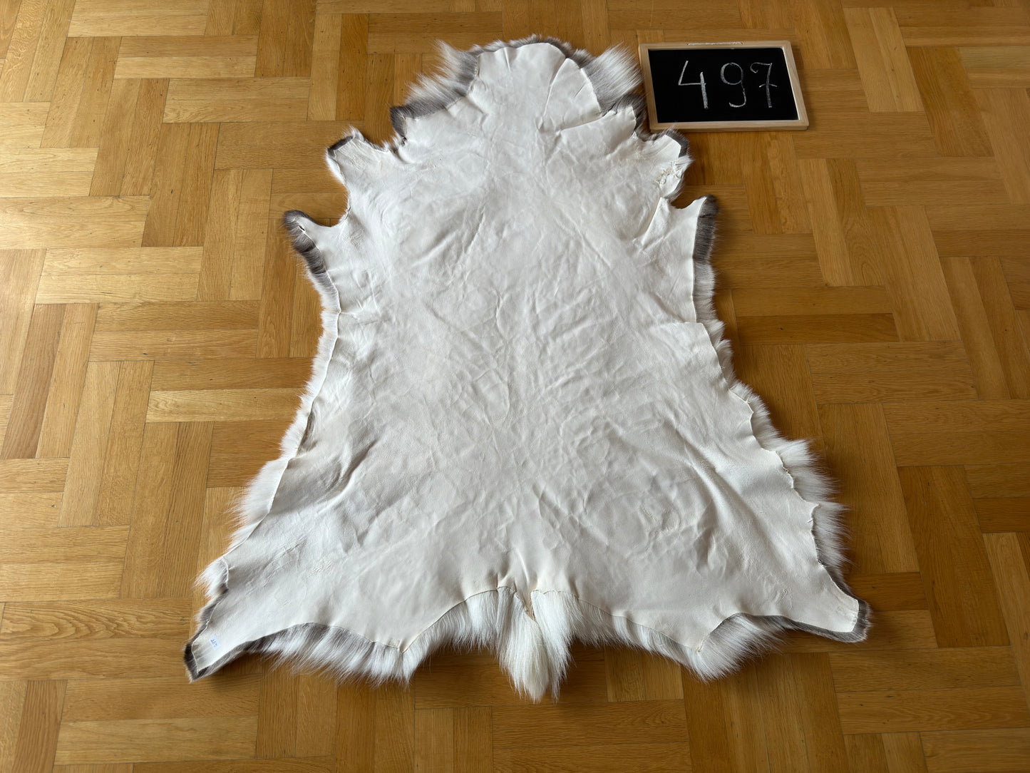 Luxurious Reindeer Hide Unique Giant Size 130 x 110 cm Reindeer Skin #497