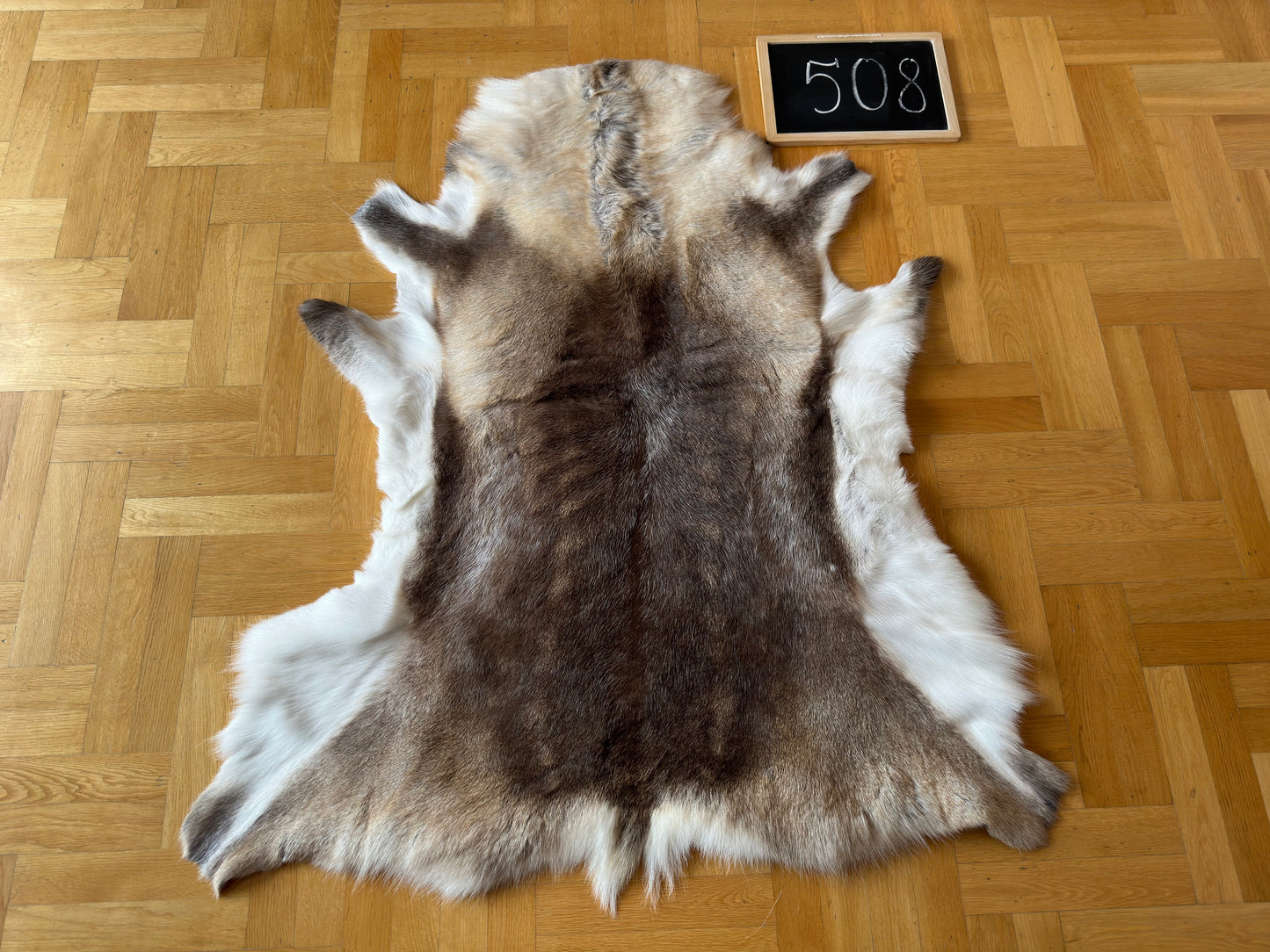 Reindeer Hide Exclusive Unique Giant Size 133 x 114 cm Reindeer Skin #508