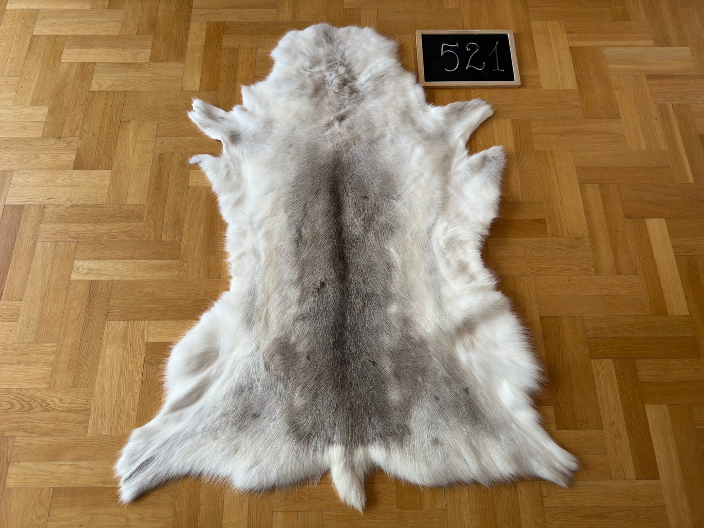 Rare Reindeer Hide Giant 150 x 113 cm Authentic Nordic Decor Reindeer Skin #521