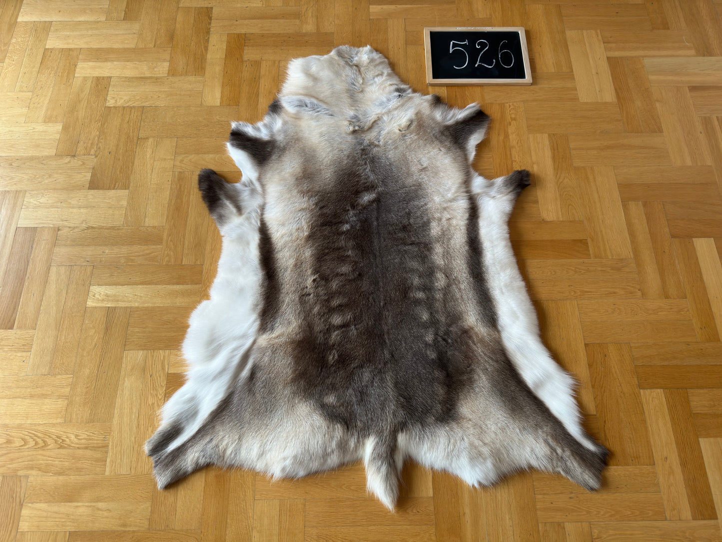 Reindeer Hide Exclusive Unique Giant Size 139 x 111 cm Reindeer Skin #526