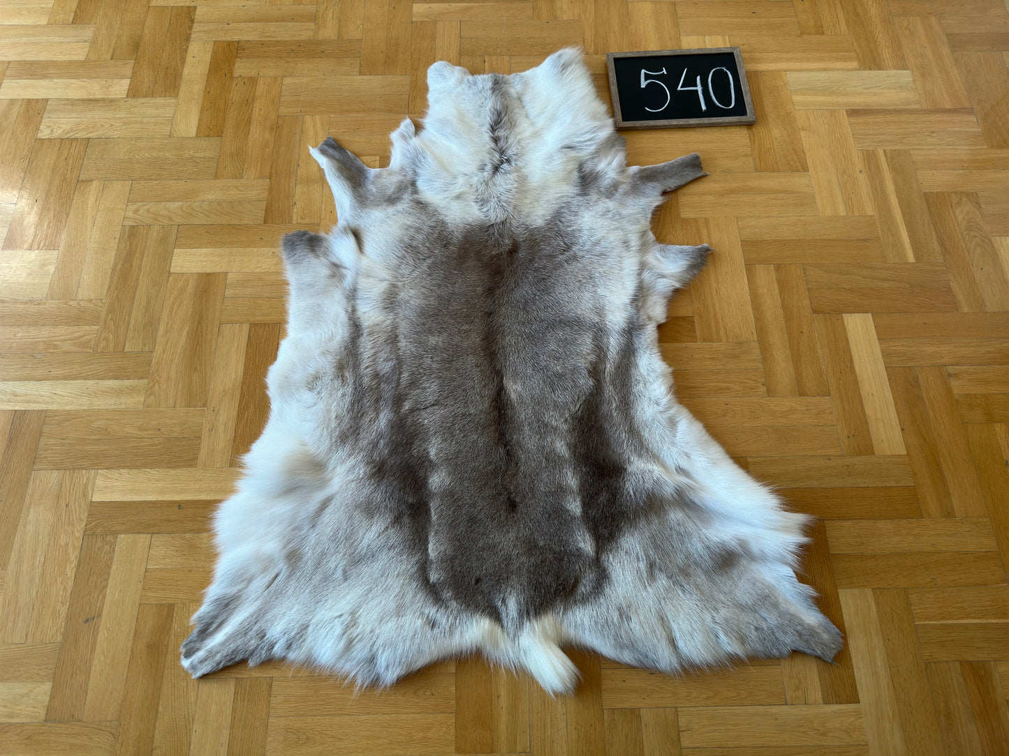 Reindeer Hide Exclusive Unique Giant Size 134 x 110 cm Reindeer Skin #540