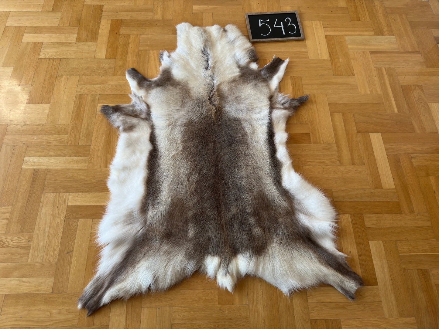 Luxurious Reindeer Hide Unique Giant Size 143 x 113 cm Reindeer Skin #543