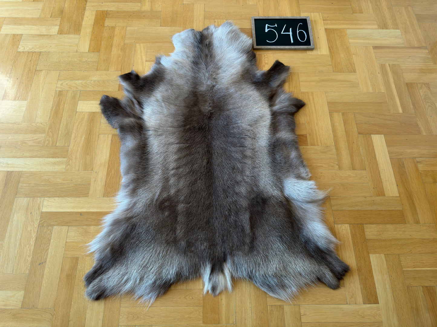 Luxurious Reindeer Hide Unique Giant Size 130 x 100 cm Reindeer Skin #546