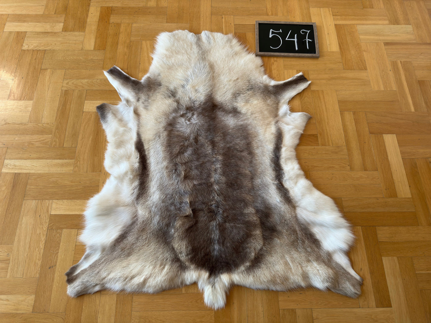 Reindeer Hide Giant 130 x 112 cm Authentic Nordic Decor Reindeer Skin #547