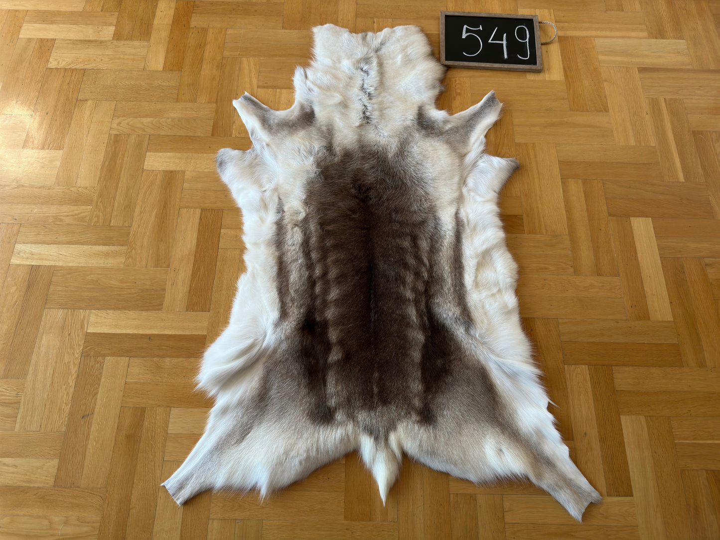 Luxurious Reindeer Hide Unique Giant Size 138 x 100 cm Reindeer Skin #549