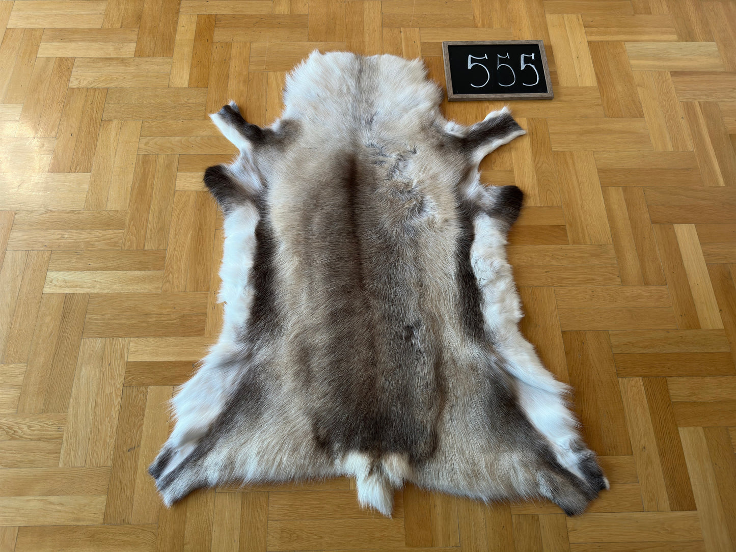 Reindeer Hide Exclusive Unique Giant Size 130 x 102 cm Reindeer Skin #555