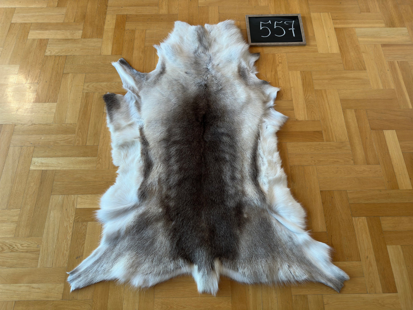 Reindeer Hide Exclusive Unique Giant Size 138 x 111 cm Reindeer Skin #557