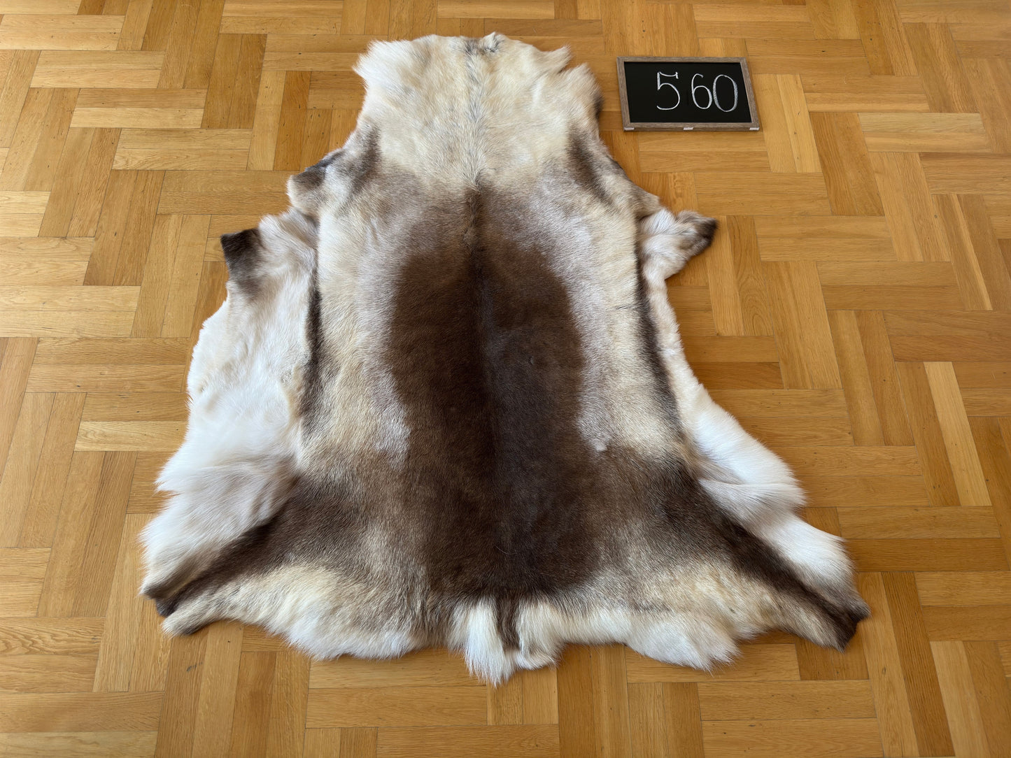 Reindeer Hide Giant 145 x 128 cm Authentic Nordic Decor Reindeer Skin #560