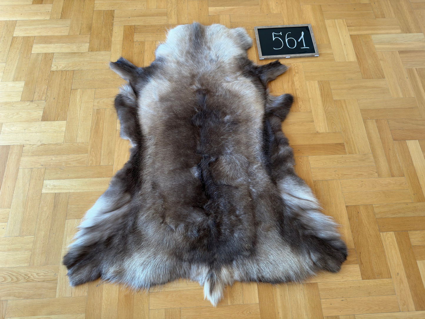 Luxurious Reindeer Hide Unique Giant Size 138 x 115 cm Reindeer Skin #561