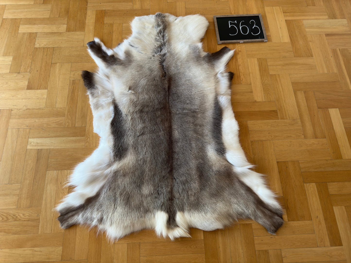 Luxurious Reindeer Hide Unique Giant Size 137 x 109 cm Reindeer Skin #563