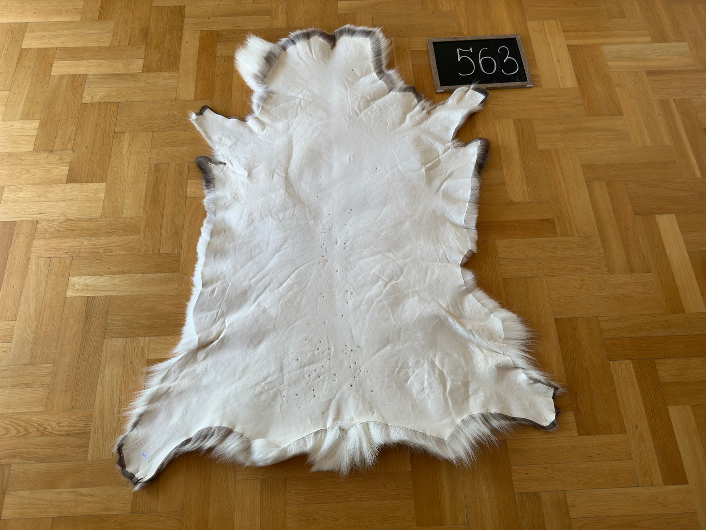 Luxurious Reindeer Hide Unique Giant Size 137 x 109 cm Reindeer Skin #563