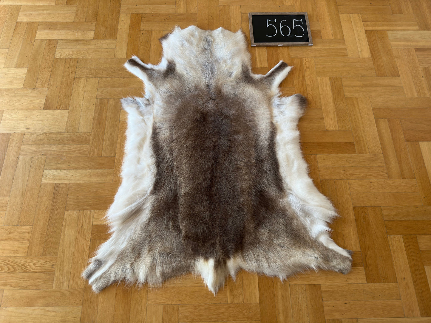 Luxurious Reindeer Hide Unique Giant Size 130 x 104 cm Reindeer Skin #565