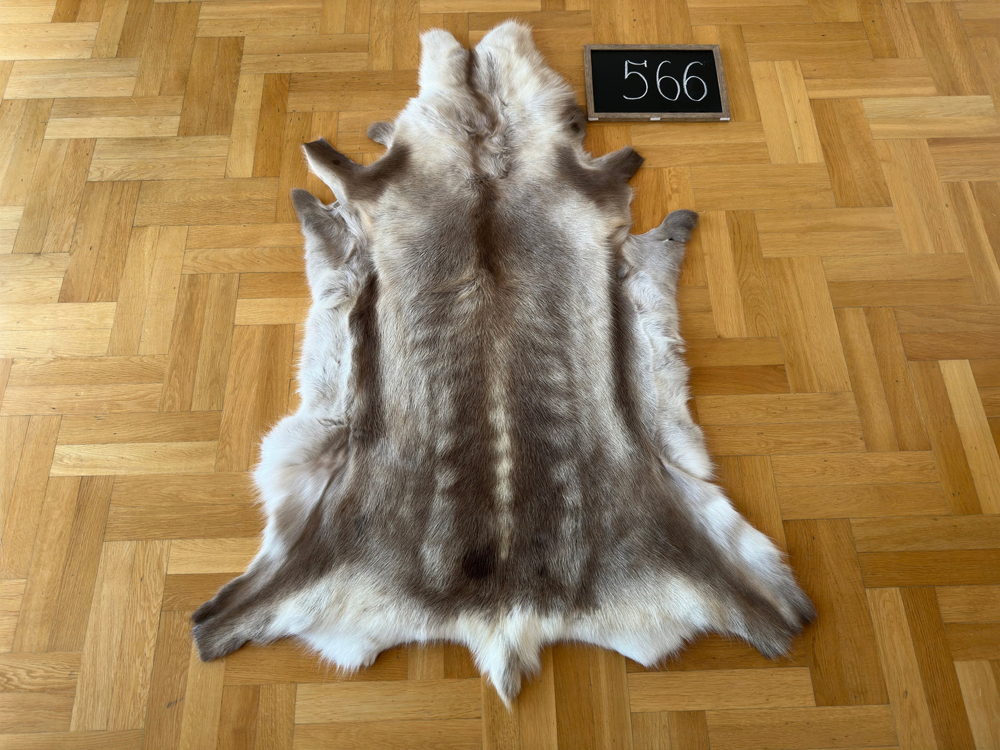 Reindeer Hide Giant 145 x 105 cm Authentic Nordic Decor #566