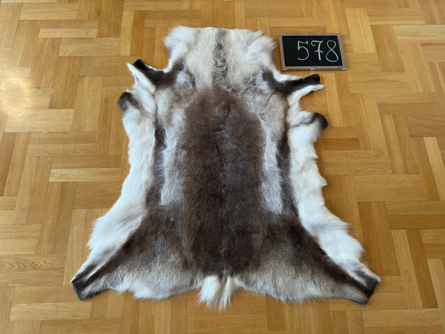 Reindeer Hide Exclusive Unique Giant Size 130 x 120 cm Reindeer Skin #578