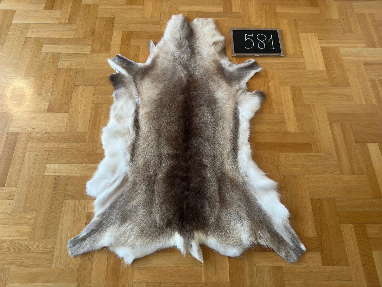 Reindeer Hide Exclusive Unique Giant Size 148 x 108 cm Reindeer Skin #581