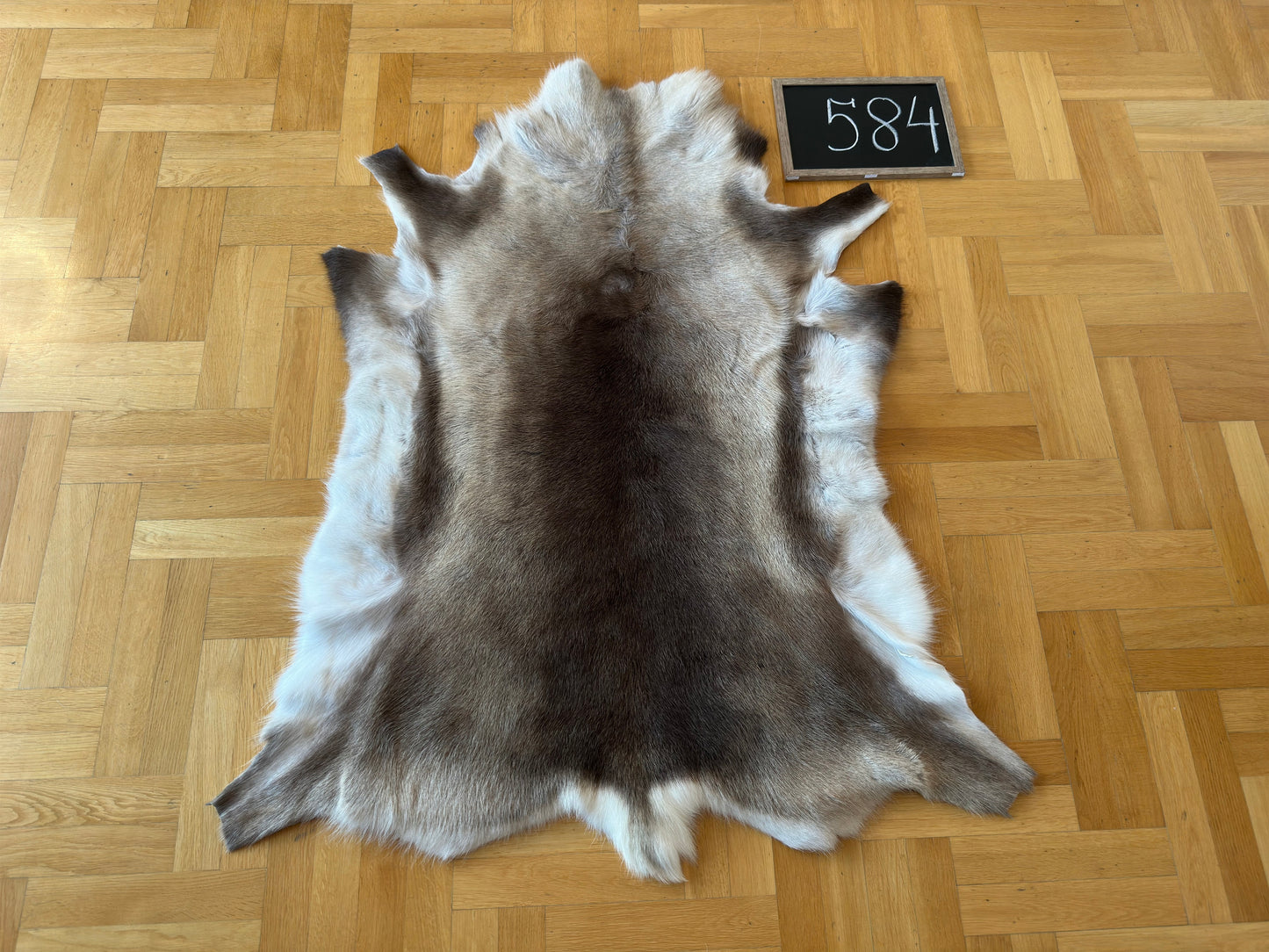 Reindeer Hide Exclusive Unique Giant Size 130 x 110 cm Reindeer Skin #584