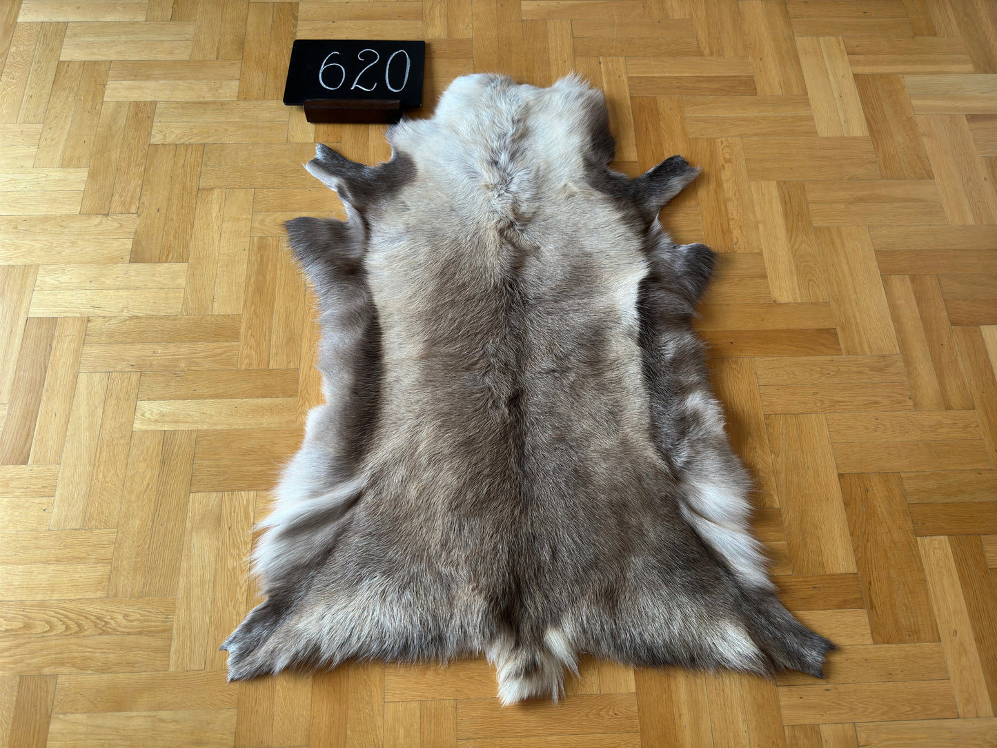 Reindeer Hide Exclusive Unique Giant Size 132 x 102 cm Reindeer Skin #620